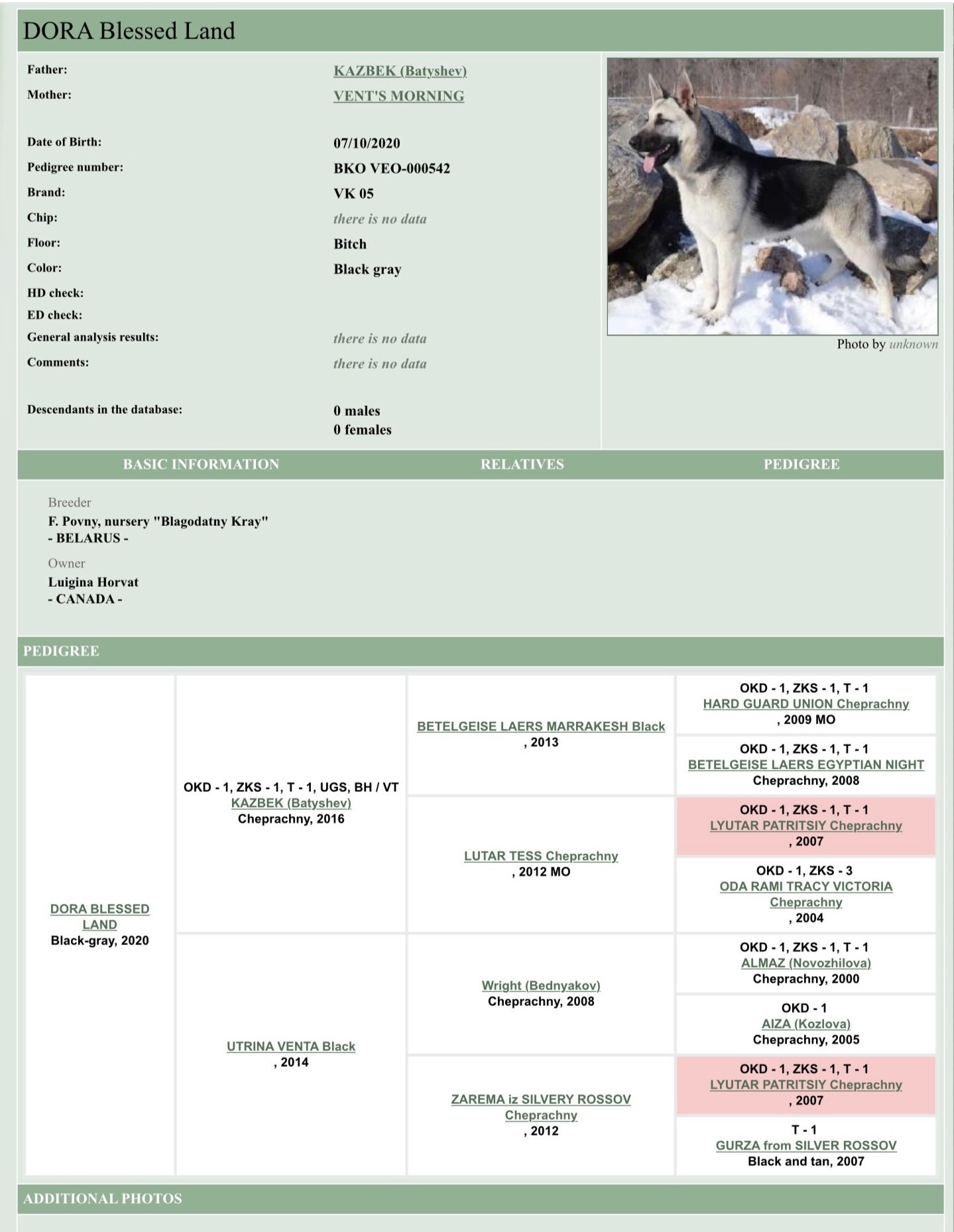 Tigra’s RKF Pedigree Tigra’s RKF Pedigree