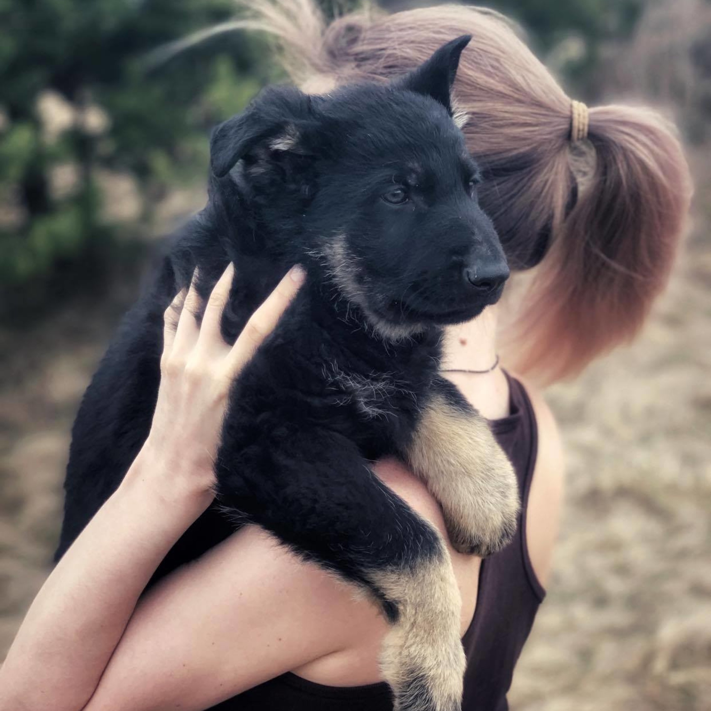 Drago 1.5 months