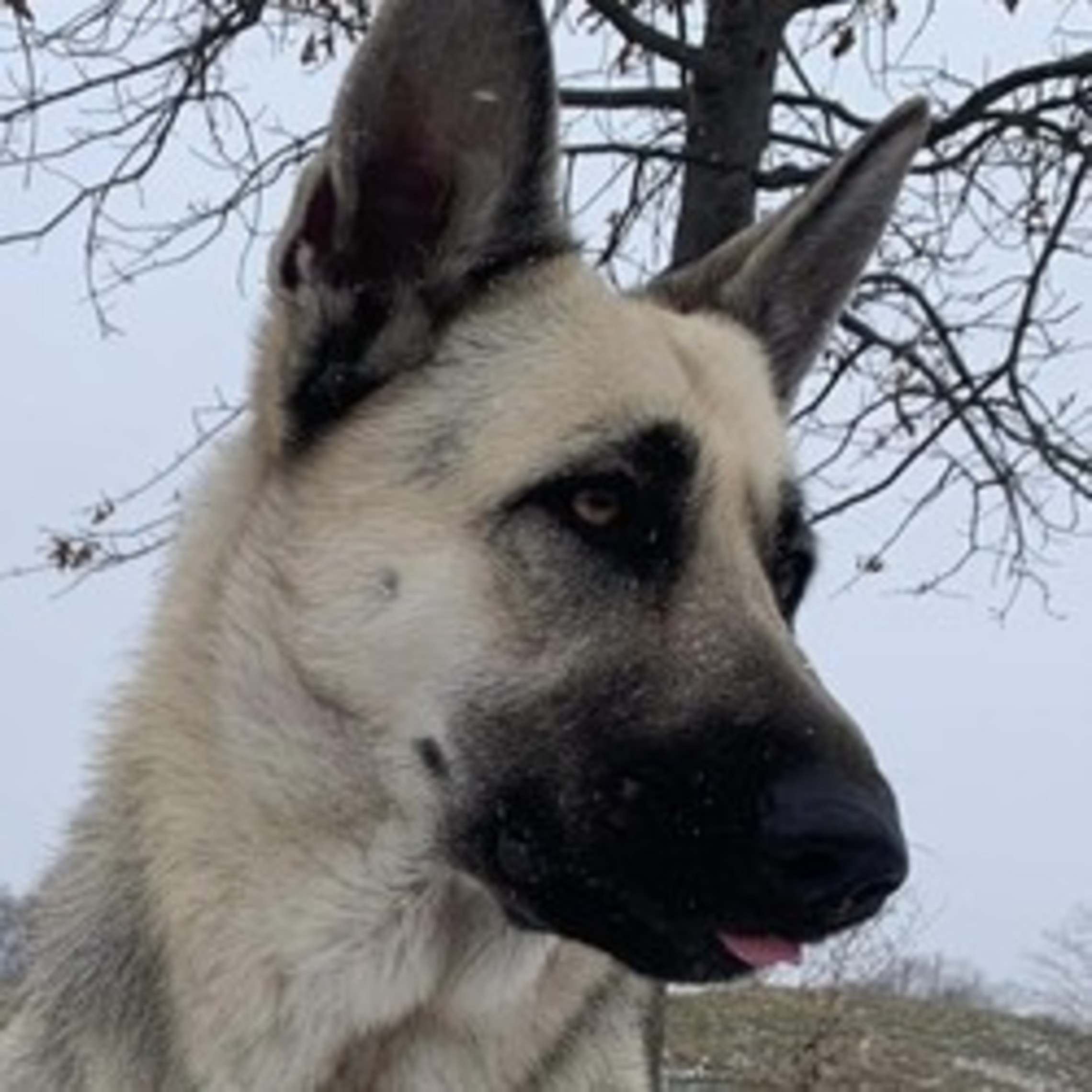 Bc190665 0353 4eb8 92e9 E279a747e269