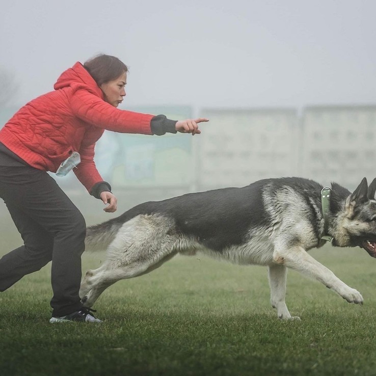 0dba99f0 D3da 43db 952e 65d64ee6e525