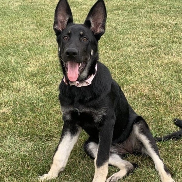 234160237 882898012603608 5707271251083793390 N