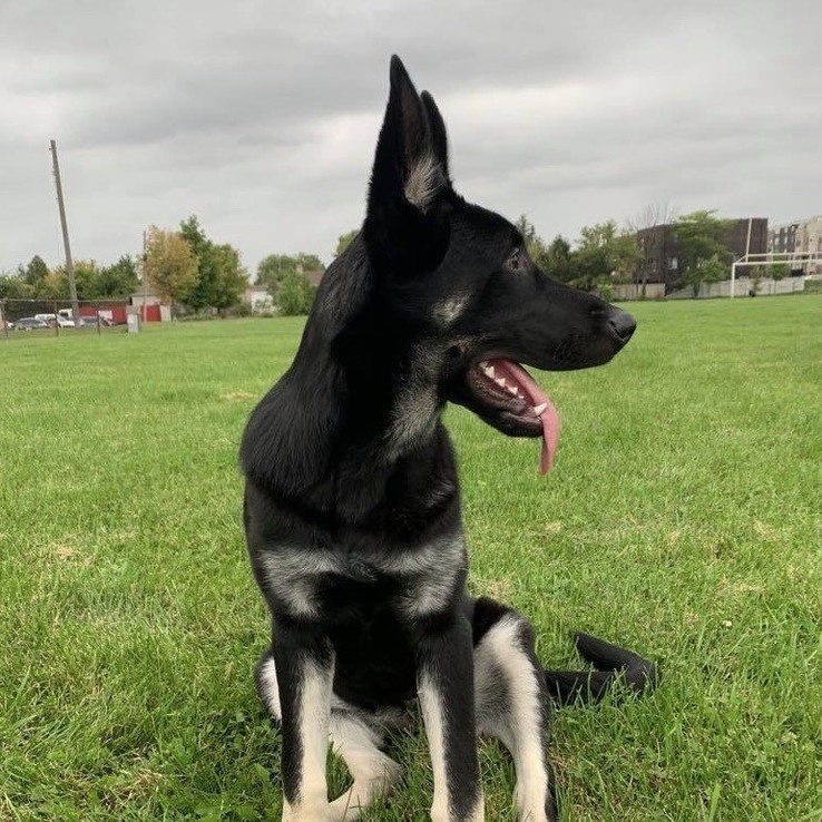 242281901 1037354093692044 9032413076558597210 N