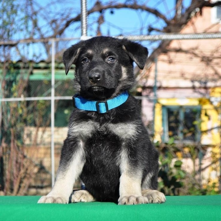 268031556 902878543737055 7425963740087752596 N