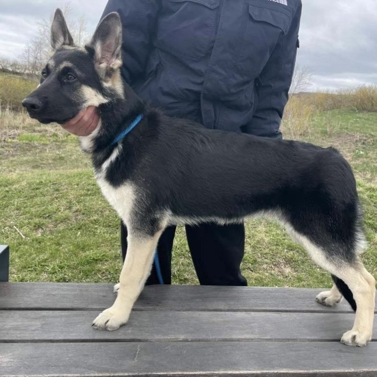 278259188 875110817222483 6812202080293421124 N