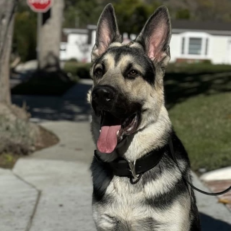 3e0aabfc 402c 40d5 9ac6 1b52a182263e