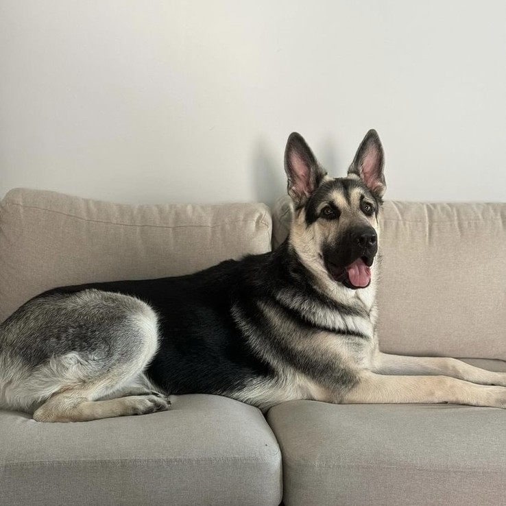 5ffedf1b 6c3e 4dd5 931f 7b526943e57c