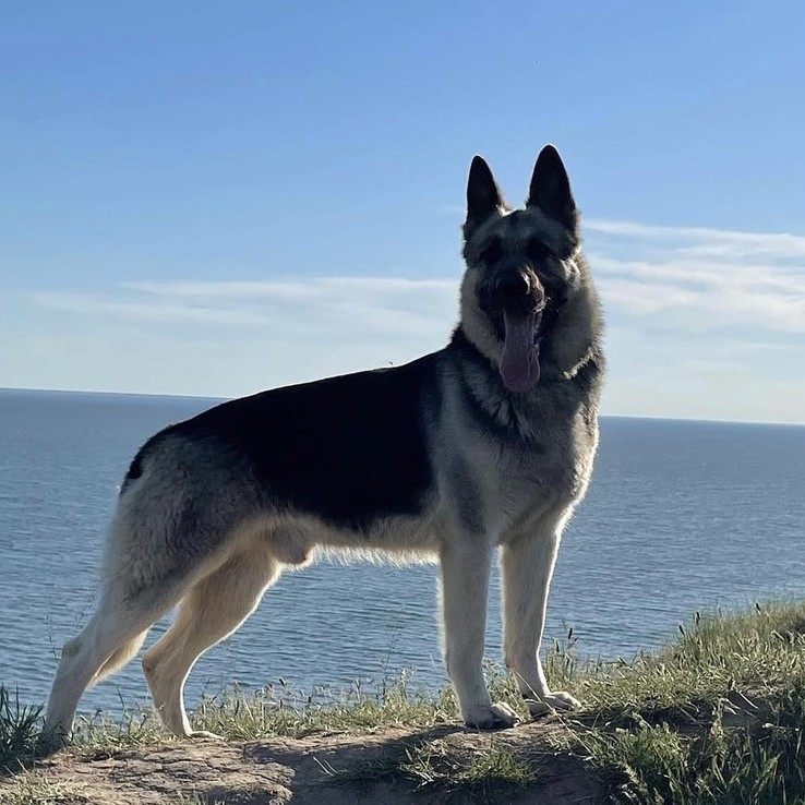 A24d571b 0492 4d7f B34b 337828ec03f9