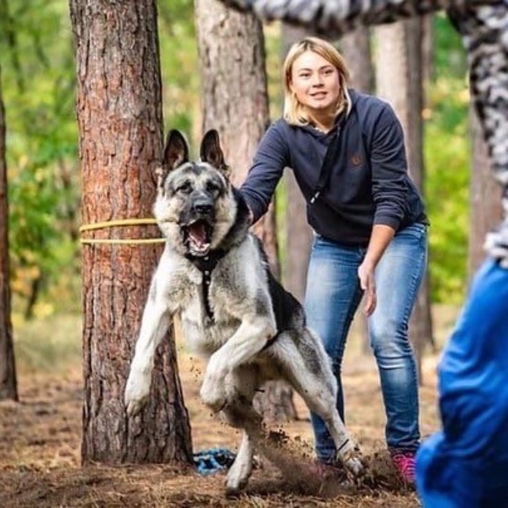 A5c7d168 8b1c 47e5 8c40 Eab96b61df45