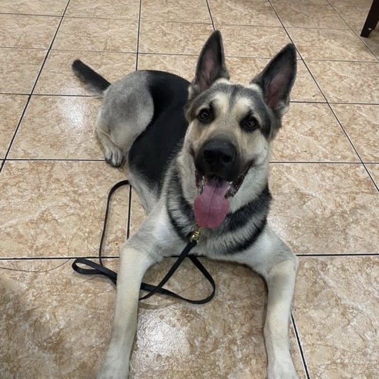 Bed4599b 6815 47ac B0a2 625871bdcf28