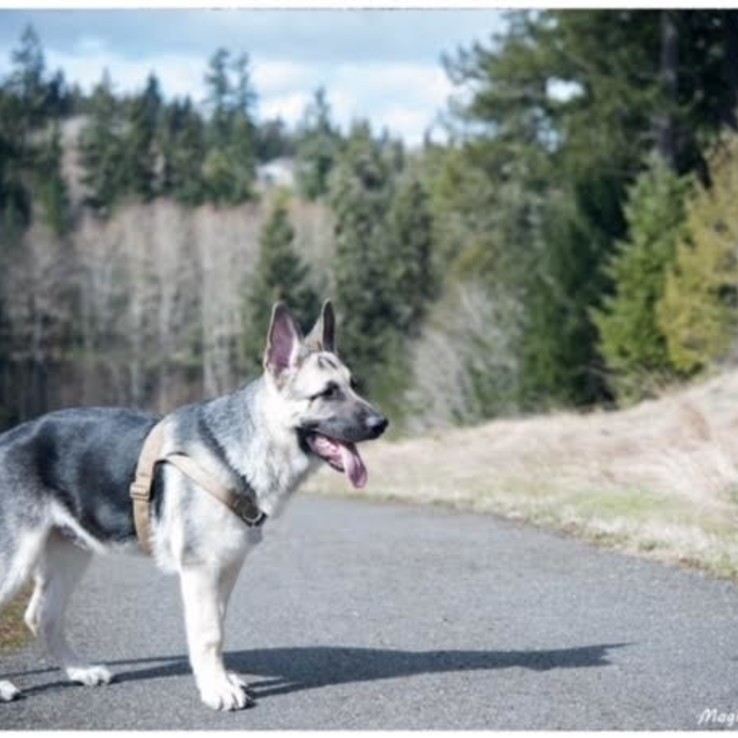 Ec74d7d4 0038 46af 9d05 3d845ee9ca4a