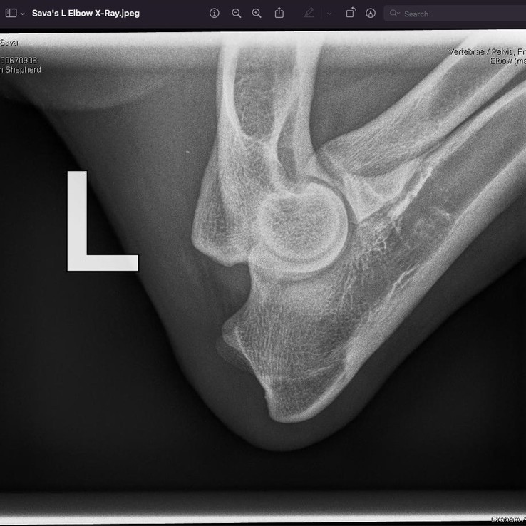 Savas Xrays Jpeg
